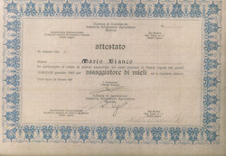 MARIO BIANCO - ATTESTATO di Assaggiatore di mieli - Azienda Apistica Mario Bianco di Bianco A. MARIO BIANCO - ATTESTATO di Assaggiatore di mieli - Azienda Apistica Mario Bianco di Bianco A.